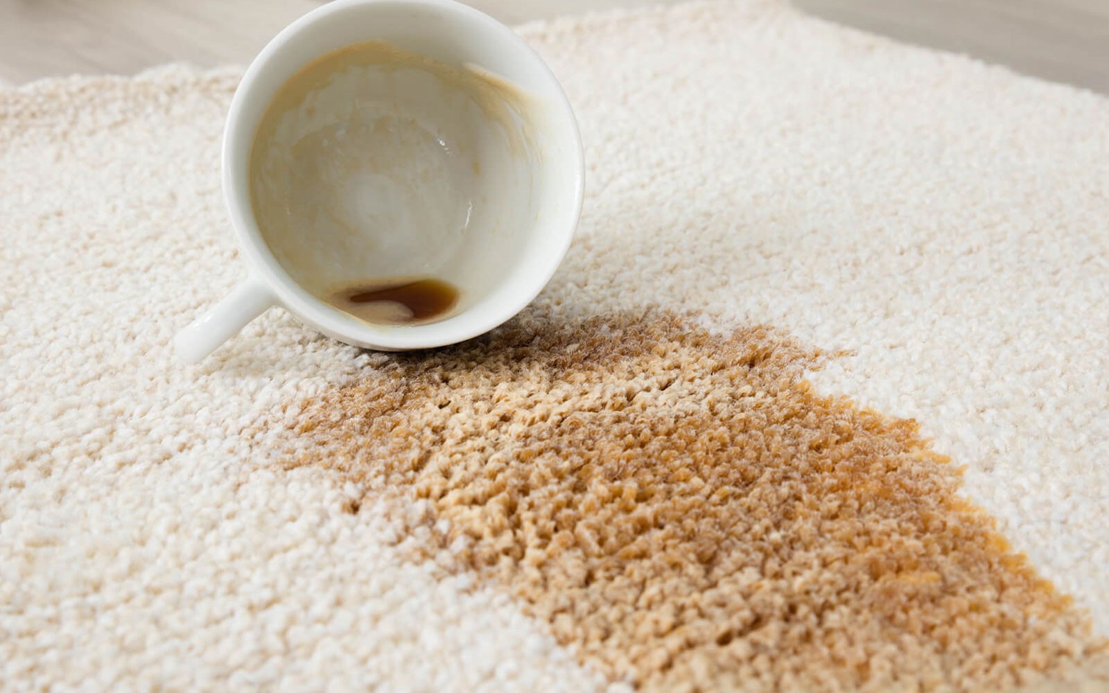 Coffee spilled on an area rug | Xtreme Carpet Care
