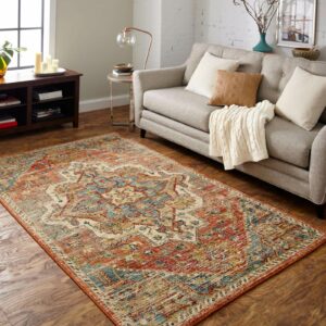 Area rug for living room | Xtreme Carpet Care