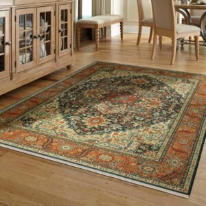 Area rug for living room | Xtreme Carpet Care