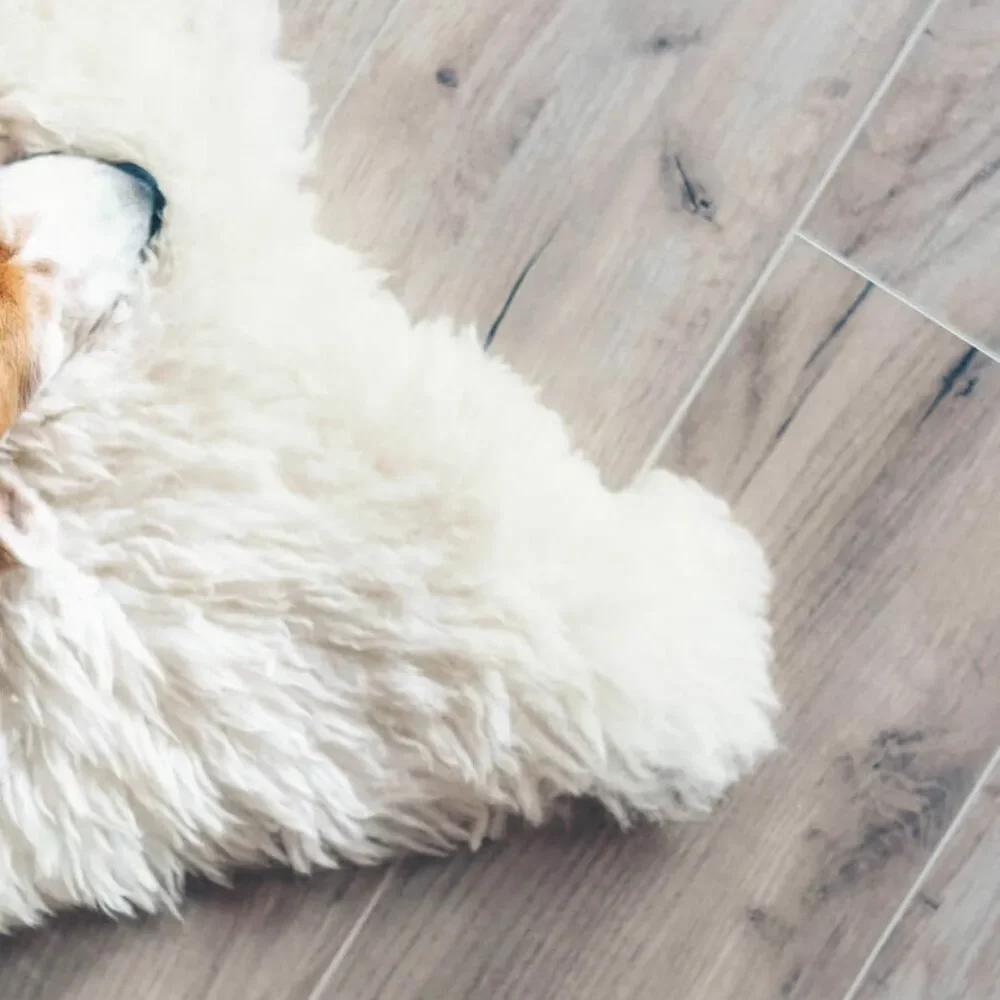 Lvt-inspiration-square Lvt-inspiration-square